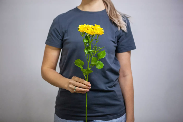 Спрей роза Yellow Babe (желтый), 1шт