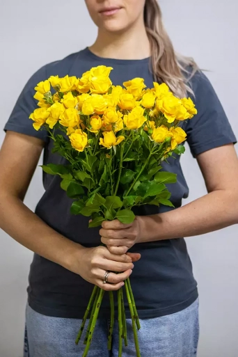 Спрей роза Yellow Babe (желтый), 1шт