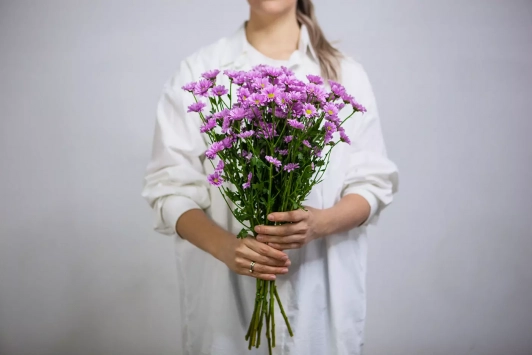 Хризантема Santini сиреневый 1шт