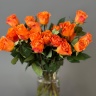 Роза Spritz, (оранжевый) 1шт