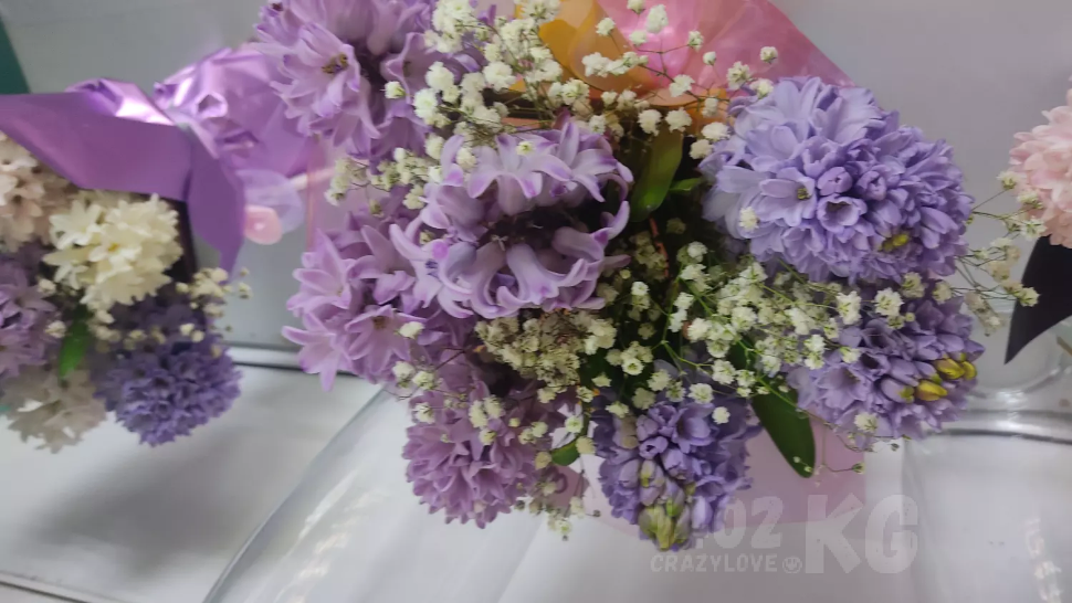 Гиацинт Amethyst (микс)