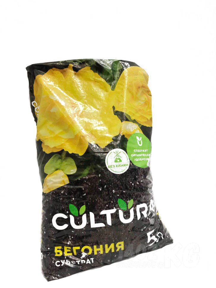Земля «Бегония»