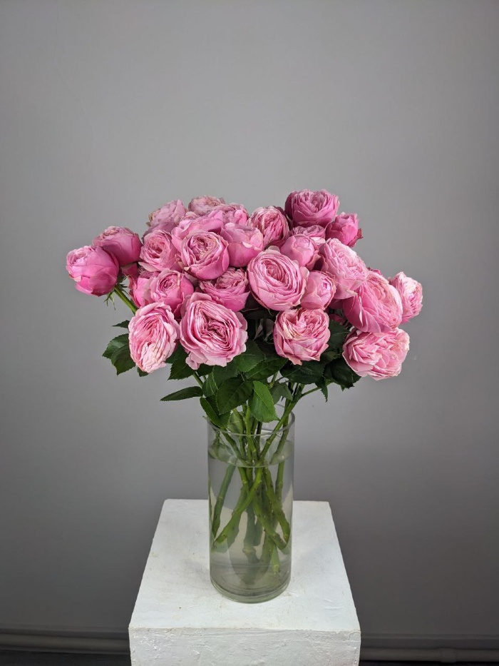 Спрей роза Silva Pink 1 шт